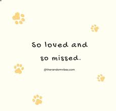 On those days that you are overcome with sorrow, pain and grief i rest my head upon your leg to offer some relief. 90 Sympathy Quotes For Loss Of Pet And Pet Loss Messages