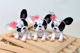 Black And White French Bulldog Puppy Black White French Bulldog Puppy Little Felt Dog Sweet Etsy Bulldog Puppies Felt Dogs French Bulldog Puppy