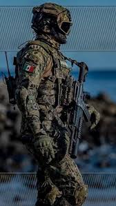 Image result for Milicia