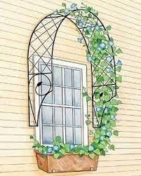 Rankhilfe Fur Den Efeu Rundherum Ums Fenster Hintergarten Garten Deko Gartendesign Ideen