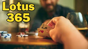 Lotus365 App in India Review - Expert ...
