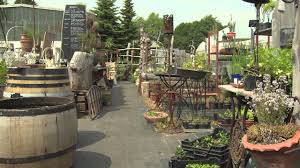 Spath Sche Baumschulen Grune Anlaufstelle Fur Alle Garten Und Pflanze