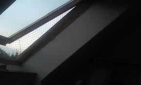 Katzennetz Am Schragen Dachfenster Dachfenster Katzennetz Fensterrollos