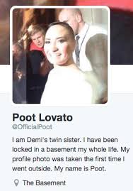 Pewdiepie posted an insensitive meme making fun of demi lovato's recent overdose and her lifelong struggle with addiction late tuesday. Meme Of The Day Demi Lovato S Sister Poot Has Take Over The Internet The Daily What Daily Dose Of What