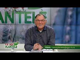 Savesave de ce au nevoie plantele for later. Ce Vor Plantele Cristina Ghibu 2019 01 24 Partea1 Youtube