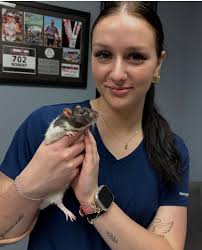 Local options for completing remaining 8 credits