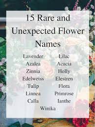 Rare And Unexpected Flower Names The York Pack Flower Names Beautiful Flower Names Unusual Flowers