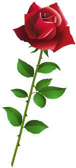 Red Rose Cartoon Style Png Clipart Gallery Yopriceville High Quality Images And Transparent Png Free Clipart Red Roses Cartoon Flowers Red Rose Png