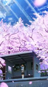 We did not find results for: Sakura Cherry Blossom Iphone Wallpaper Anime Novocom Top