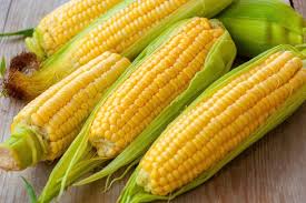 Jadi, setiap 100 gram jagung cuci 3 tongkol jagung tanpa terlebih dahulu dikupas. Cara Simpan Jagung Agar Tidak Kering Dan Tetap Manis
