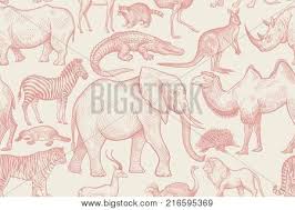 A platypus spends an average of 12 hours every day searching for food!! Animals Wild World Vector Photo Free Trial Bigstock