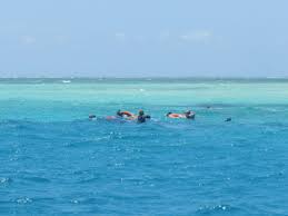Das macht einen kenia urlaub aus. Delfintour Und Schnorcheln Bei Wasini Island Safaris In Kenia Kenia Urlaub