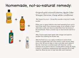 Organizing Made Fun Spring Cleaning Lice And How To Deal With It