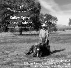 Profile for B Squared Performance Horses