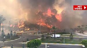 Jul 04, 2021 · auf zypern sind bei einem waldbrand nach offiziellen angaben bisher mindestens vier menschen ums leben gekommen. Ud2daiodogbsmm