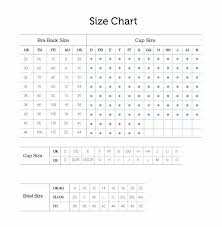 Size Chart For American Eagle Jeans The Best Style Jeans