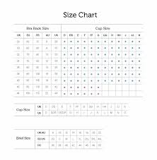 24 Problem Solving Size Chart For American Eagle