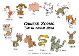 Chinese New Year Chinese New Year Zodiac Chinese Zodiac Chinese New Year Activities