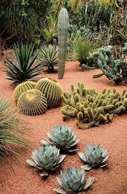 60 Stunning Desert Garden Landscaping Ideas For Home Yard Cactus Garden Landscaping Low Water Landscaping Succulent Landscape Design