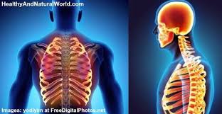 Pin On Medical Conditions Diseases