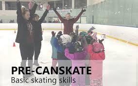 Image result for precanskate image