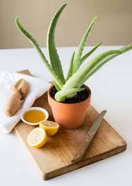 Aloe Vera Face Pack With Lemon Helloglow Co In 2021 Skin Brightening Aloe Vera Aloe Vera Moisturizer