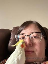 Work in progress ✍️ Comission Mom cockatiel and their newborn babies 😊  9"x12" Mix media Thank you 🤗