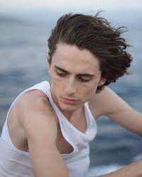 wer ist Desiree Nick aber