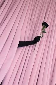 Aesthetic Black And Pink Roses Pink Black Pink Aesthetic Red Aesthetic Pastel Aesthetic