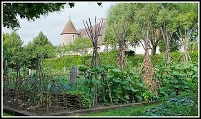 The best way to use coffee grounds for plants is adding it to your compost pile, and then mixing a little bit of that compost in with your potting soil, marino says. Making Your Backyard Work Tips For New Gardeners Special Garden Design Vegetable Garden Planning Potager Garden My French Country Home