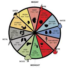Organ Clock Theory Vegetable Treatment