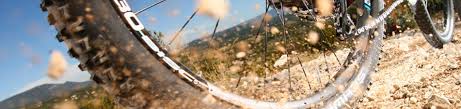 Schenker Fahrrad Service Tradition Seit 1913 Aus Liebe Zum Zweirad Unsere E Bikes Des Jahres