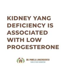 Ok What The Heck Does This Even Mean Think Of Chinese Medicine As An Art 4000 Years Ago They Did Not Understand B High Stress Progesterone Chinese Medicine
