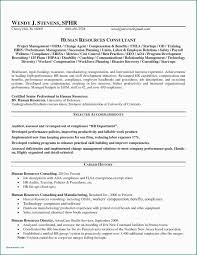 Software Development Manager Resume Beautiful Pliance Ficer Resume Template 25 Examples Operations Project Manager Resume Resume Skills Resume Examples