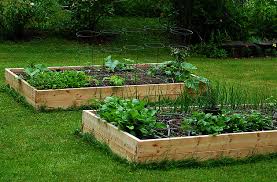 Come Costruire Un Orto Rialzato Idee Green Orto In Giardino Orti Rialzati Idee Giardino Orto