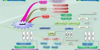 أحكام المد عند ورش من طريق الأزرق Powerpoint Background Design Egg Shell Art Education