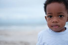 Families — Karin Curtis