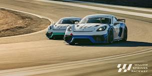 Willow Springs Reimagined