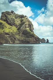 rainforest black sand and surfing beaches in west auckland island travel surfing north island new zealand
