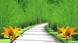 We are all inspired by nature and there is no sight more beautiful than seeing nature wallpapers hd on your desktop or mobile when you wake 60 desktop background wallpapers for free download in hd. Nature Hd Background 1280x720 Youtube