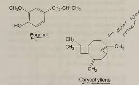 Exercise 3 (Steam Distillation) | Download Free Pdf | Essential Oil |  Distillation