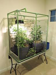 We Used Some Spare Parts From Our Modern Dog Pens To Make A Modern Chameleon Enclosure Our Little Camo Is Chameleon Enclosure Chameleon Cage Reptile Habitat