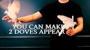 D.Book Lecture (Nobody) by C.Y