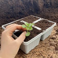 5.0 out of 5 stars 1. 4 Cell Recyclable Grey Plastic Plant Tray Pack Of 10 Brookside Nursery