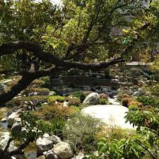 Zen Garden In Little Tokyo La Backyard Growing Organic Horticulture Zen Garden