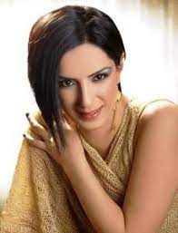 Model ülke | yılmaz özdil. Ozlem Ozdil Lyrics