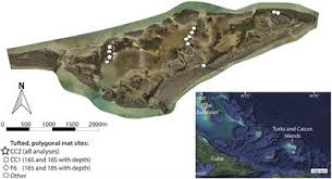 Maybe you would like to learn more about one of these? Frontiers Taphonomy Of Biosignatures In Microbial Mats On Little Ambergris Cay Turks And Caicos Islands Earth Science