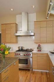 Bamboo Kitchen Cabinets Design Ideas Pictures Remodel And Decor Contemporary Kitchen Cabinets Bamboo Kitchen Cabinets Custom Kitchen Cabinets
