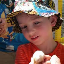 Who is setting off fireworks in Brighton Twp now?