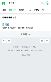 블랙핑크 지수(blackpink jisoo), '설강화' 주연 캐스팅…본격 연기자 도전! C2cppjdggrvshm